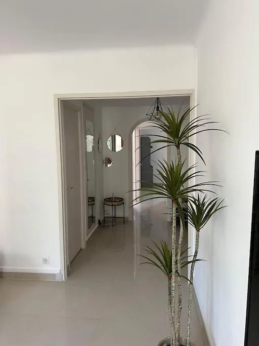 Appartement Proche Velodrome Marseille